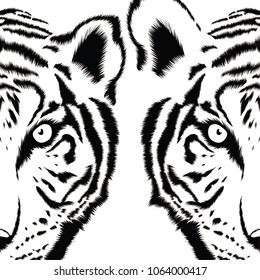 Tiger face. .Isolated on white background