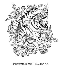 Tiger face and roses vector illustration. Hand drawn. Tiger angry portrait. Vector illustration.