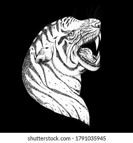 Tiger face sketch, vector illustration. Hand drawn. Tiger angry portrait. Vector illustration.