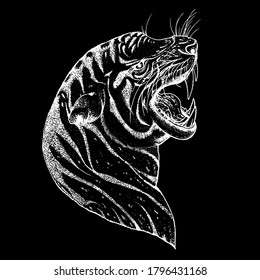 Tiger face sketch, vector illustration. Hand drawn. Tiger angry portrait. Vector illustration.