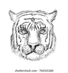 Tiger Face in Stippling Style on White Background. Vector illustration