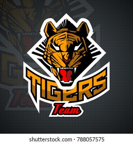 Tiger face. For team sport theme on black background.