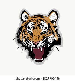 Tiger face. vector illustration