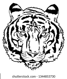 Tiger face vector illustration