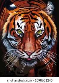 tiger face vector. Oil painting on canvas.