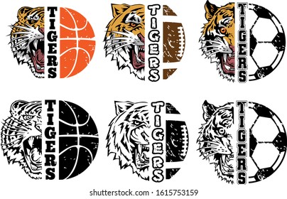 Tiger face vector set collection graphic clipart design