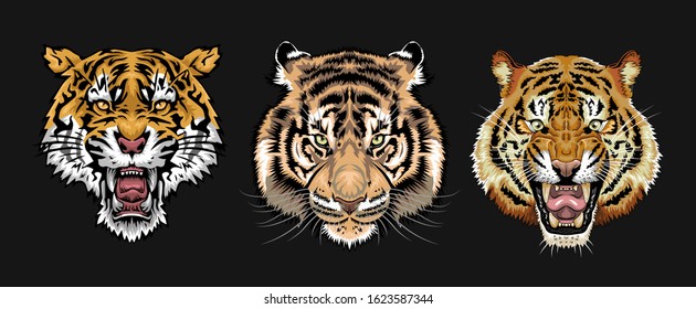 Tiger face vector set collection graphic design