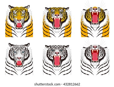 Tiger. Facial expressions. anger