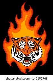Tiger and fire