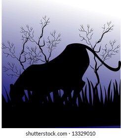 tiger in a forest	