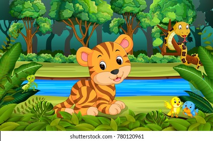 Tiger in the forest