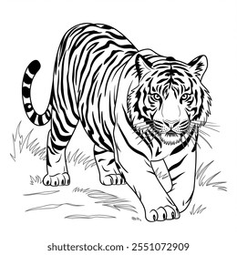 Um tigre na página de coloração da floresta