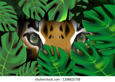 Tiger in the forest, natural concept