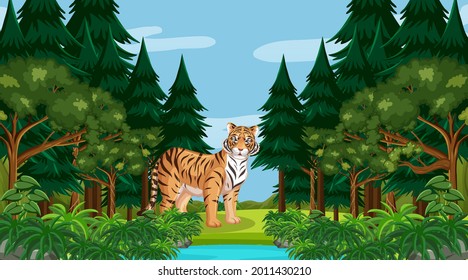 A tiger in forest or rainforest scene with many trees illustration