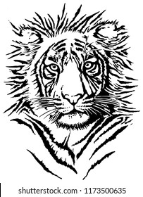 The Tiger is found in parts of India, Bangladesh, and elsewhere in South Asia. Despite having one of the highest tiger populations, the Bengal tiger is now exceedingly rare in the wild.