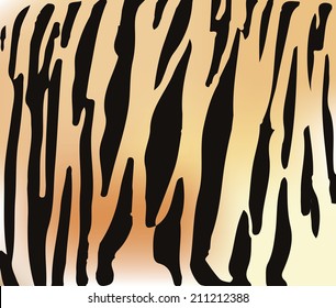 Tiger fur texture