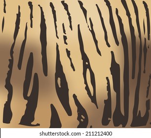 Tiger fur texture