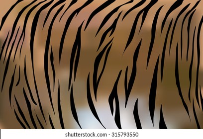 Tiger fur texture