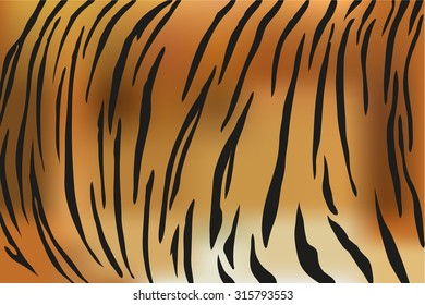 Tiger fur texture