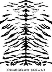 tiger fur texture sketch vector graphics black and white drawing