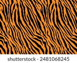 Tiger fur texture. vector illustration. isolated object. seamless pattern. cartoon flat design