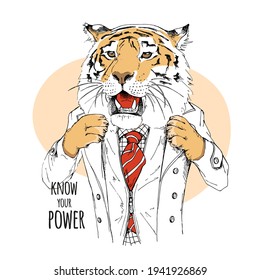 Tiger in the gentleman clothes and in the bow tie. Humor card, t-shirt composition, hand drawn style print. Vector illustration.