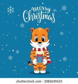Tiger with a gift. Christmas tiger. Christmas tiger in a scarf.