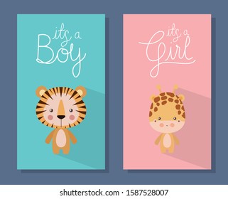 tiger and giraffe cartoon design, Baby shower invitation party card and decoration theme Vector illustration