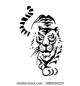 Tiger goes. Predator. Beast. Hunter. Illustration of Ink sketch. Vector.