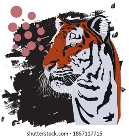 Tiger Graphic Vector Design. Tiger t-shirt graphics.