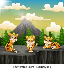 Tiger group cartoon enjoying on the mountain a cliff