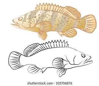 tiger group fish with outline style include