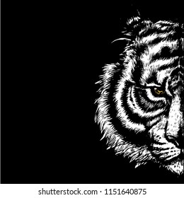 tiger half face on black background, hand drawn