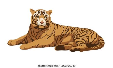 Tiger hand drawn illustration. Red tiger isolated on white. Symbol of Chinese New Year. Big wild cat, feline animal, predator. Bengal, Siberian tiger. African, Savannah wildlife	