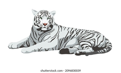 Tiger hand drawn illustration. White tiger isolated on white. Symbol of Chinese New Year. Big wild cat, feline animal, predator. Bengal, Siberian tiger. African, Savannah wildlife