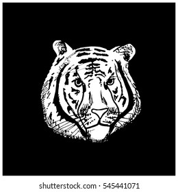 Tiger (Hand Drawn Vector Illustration)