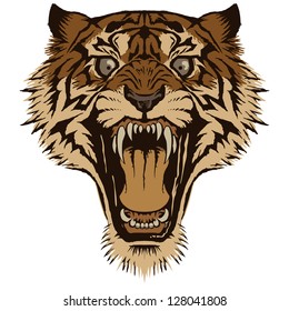 Tiger Head