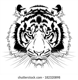 Tiger head