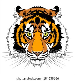 Tiger Cartoon Face Images, Stock Photos & Vectors | Shutterstock