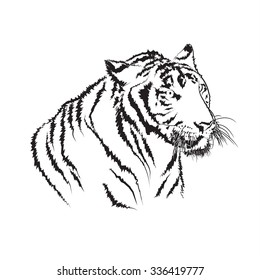 tiger head