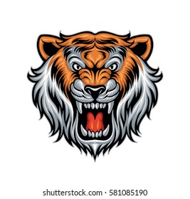 Tiger Head