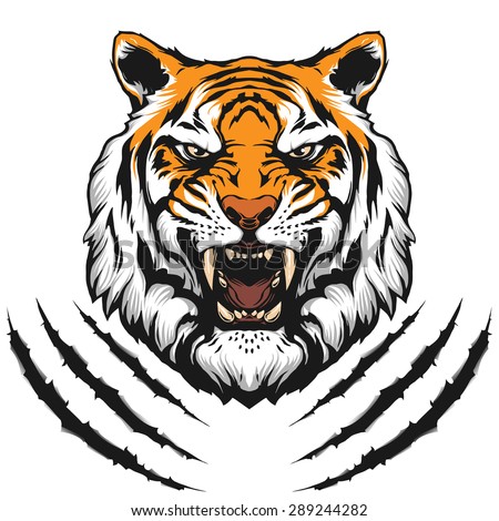 Tiger head