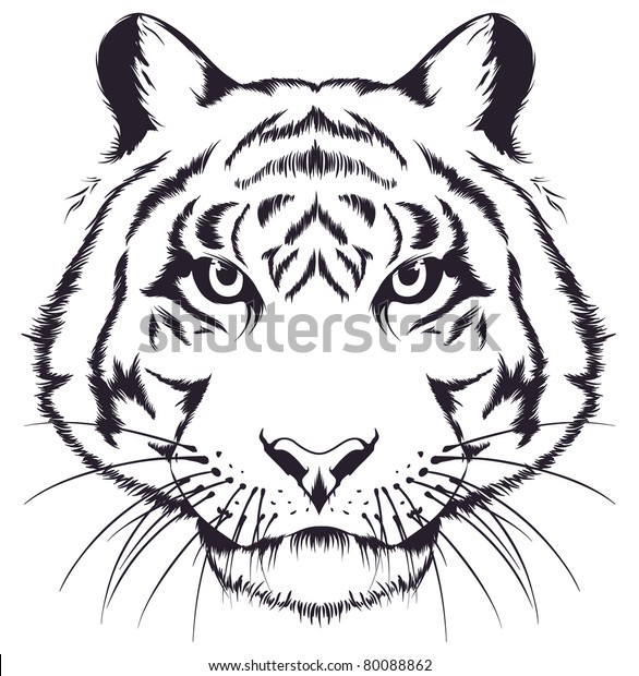 Tiger Head Stock Vector (Royalty Free) 80088862