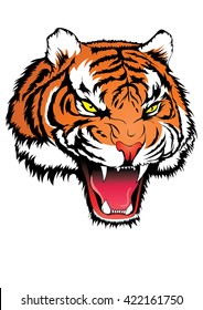 Tiger head angry