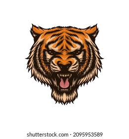 Tiger head animal vector illustration