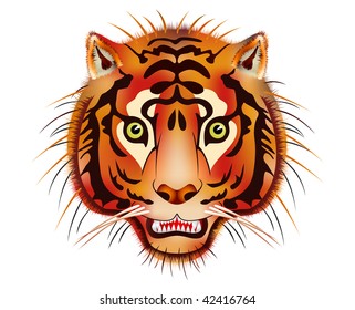 tiger head - beast of prey - vector