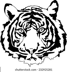 tiger head in black interpretation 1