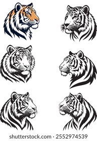 Tiger head black and white and tiger color vector  illustration 