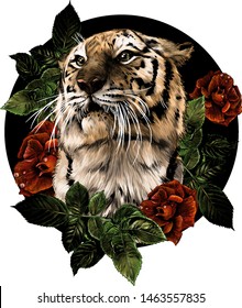 tiger head composition of flowers and plants surrounded by rose bushes, sketch vector graphic color illustration on white background