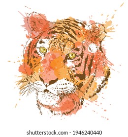 
Cabeza de tigre, gráficos de contorno sobre un fondo abstracto de imitación de una textura de acuarela. Ilustración vectorial.

